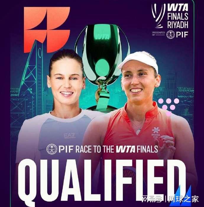 vs, 种子 vs, 种子