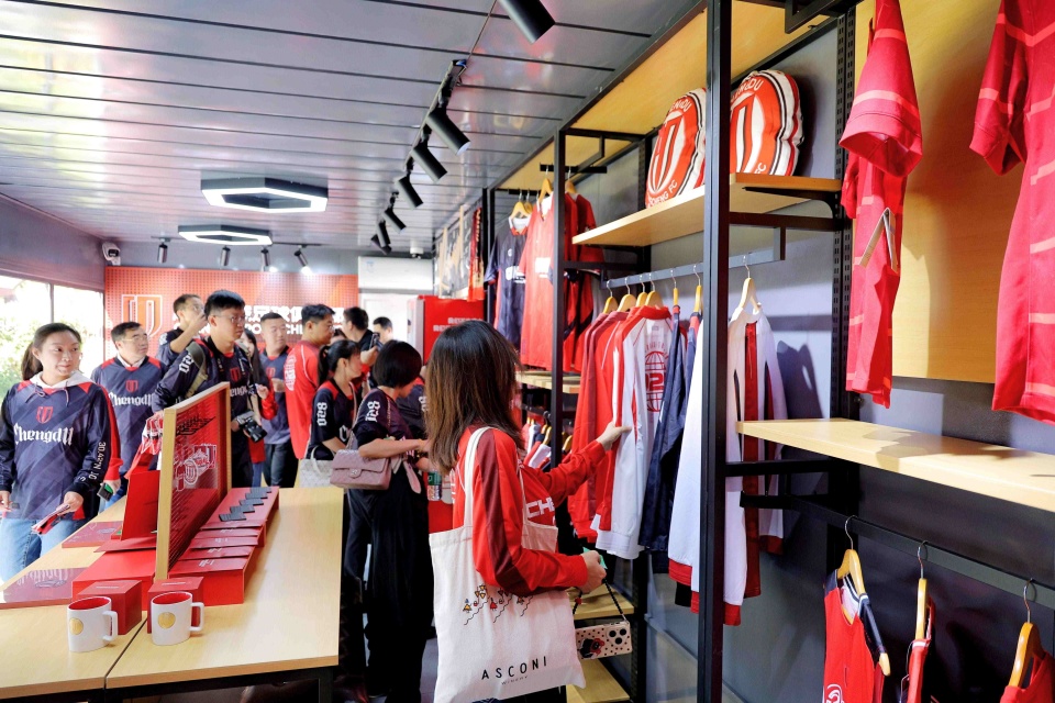 成都国资国 成都国资国